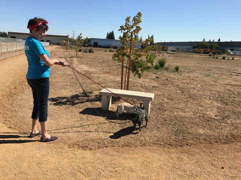 Sacramento SPCA employee Linda Salle takes a stroll around the new dog walk.